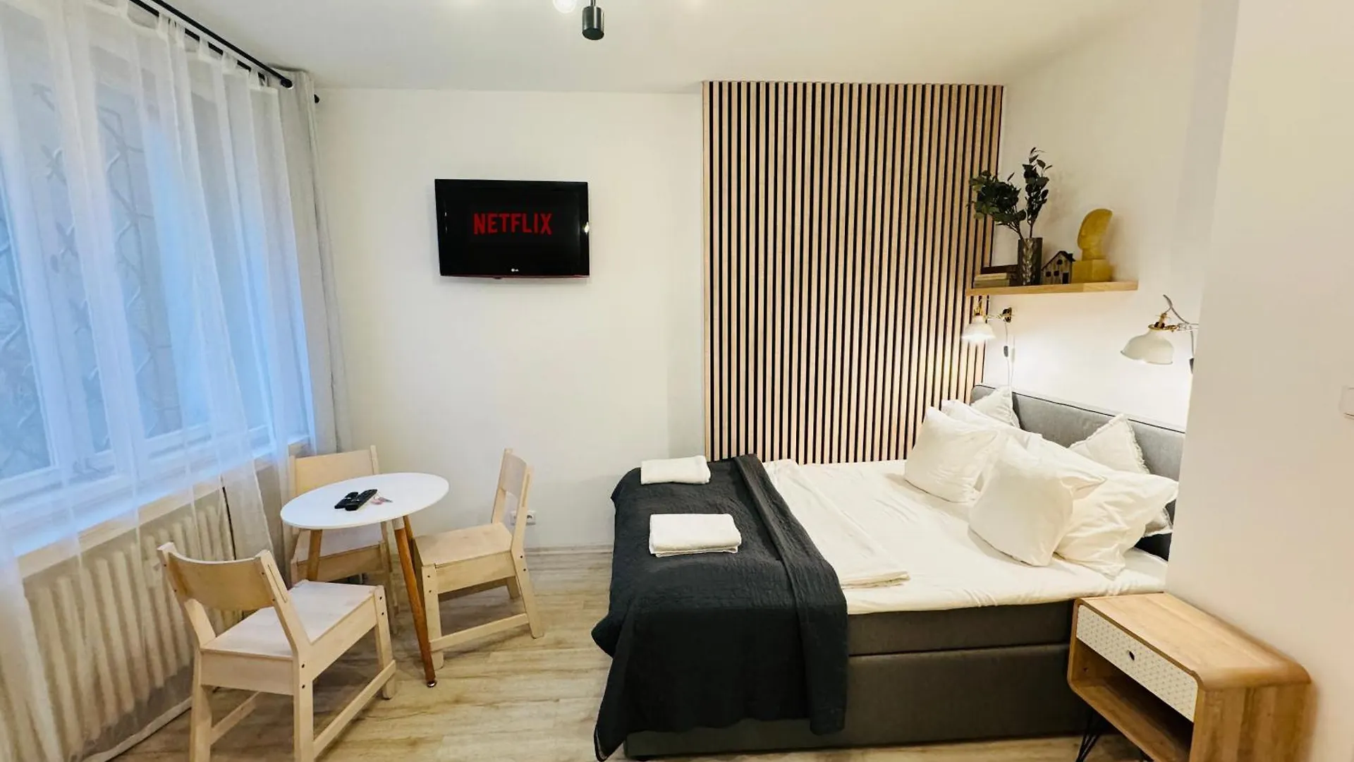 Nicelovely & Prague Apartment Dlouha